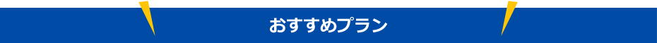 おすすめポイント