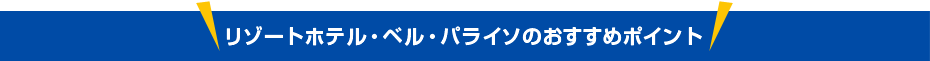 おすすめポイント